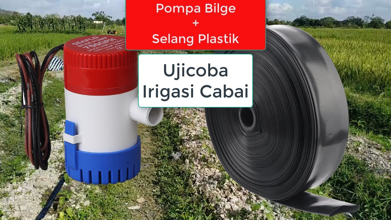 Pompa Bilge 1100 GPH Di Sawah (Ngevlog Santai)