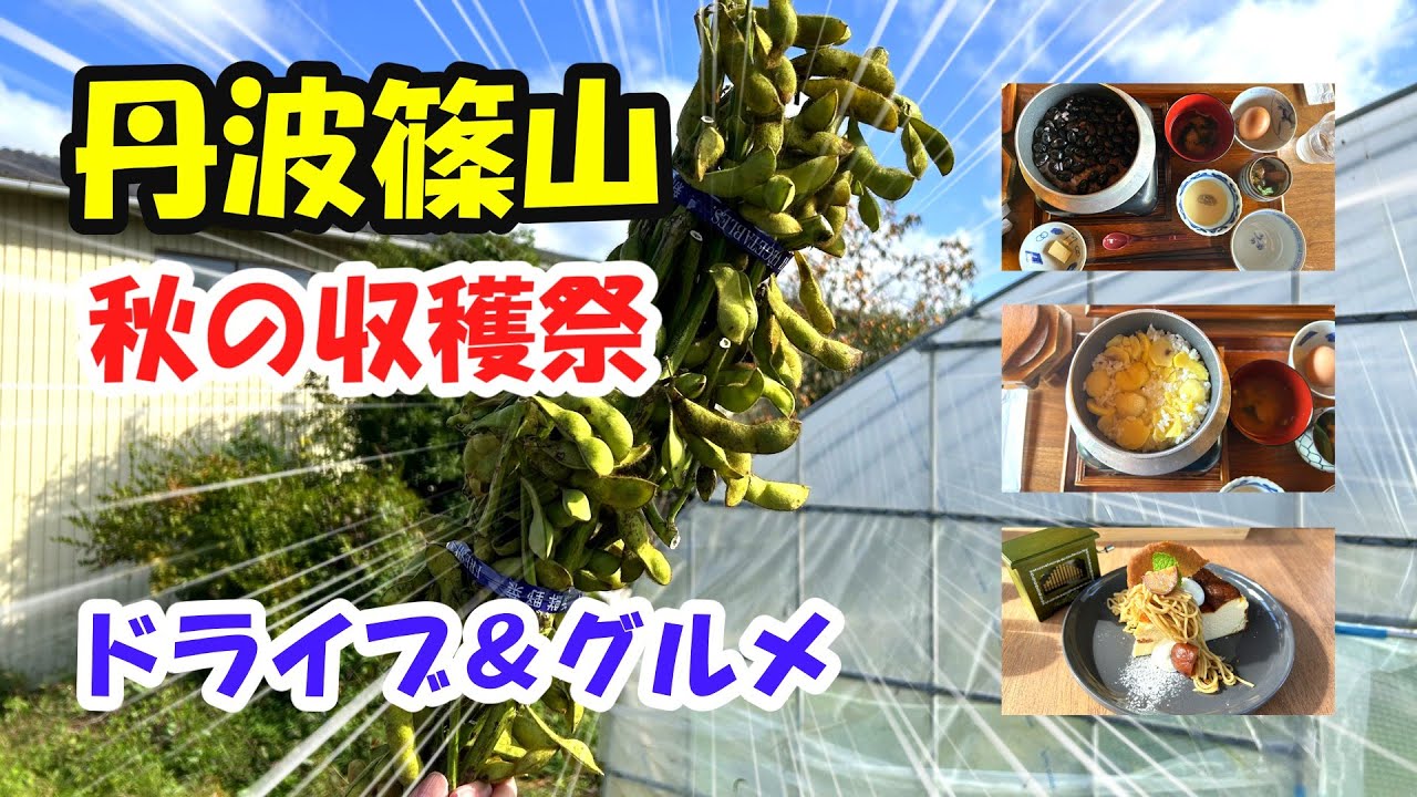 【丹波篠山グルメ】秋の収穫祭（黒大豆枝豆・丹波栗）ドライブ旅