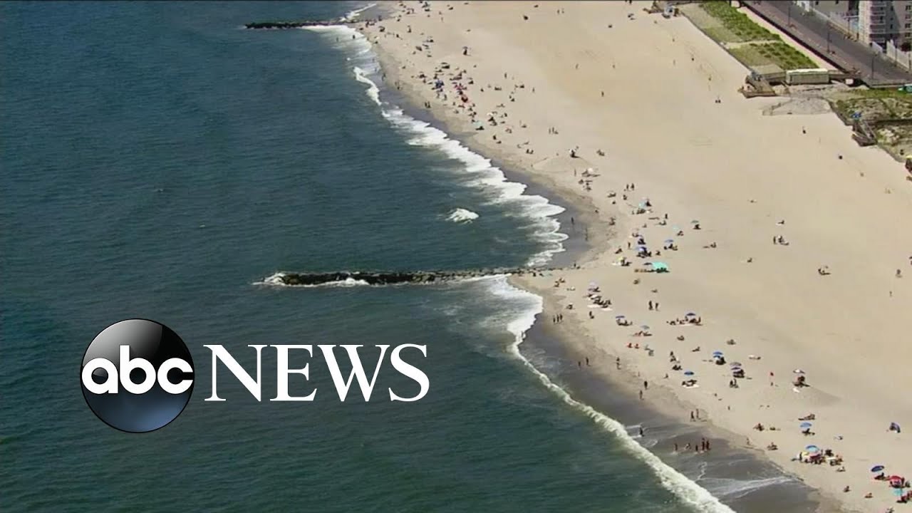 Maine woman dies of apparent shark attack