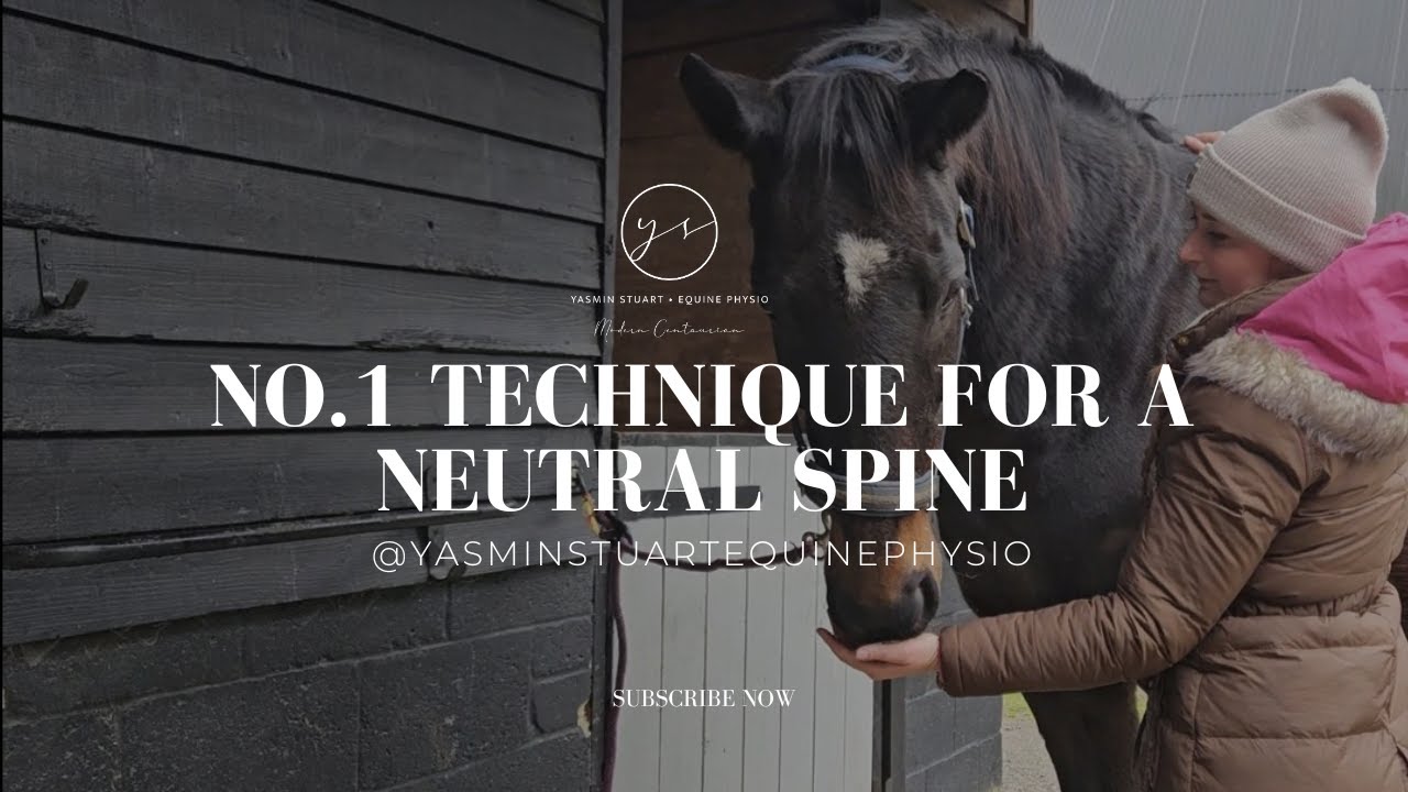 No.1 Technique For A Neutral Spine