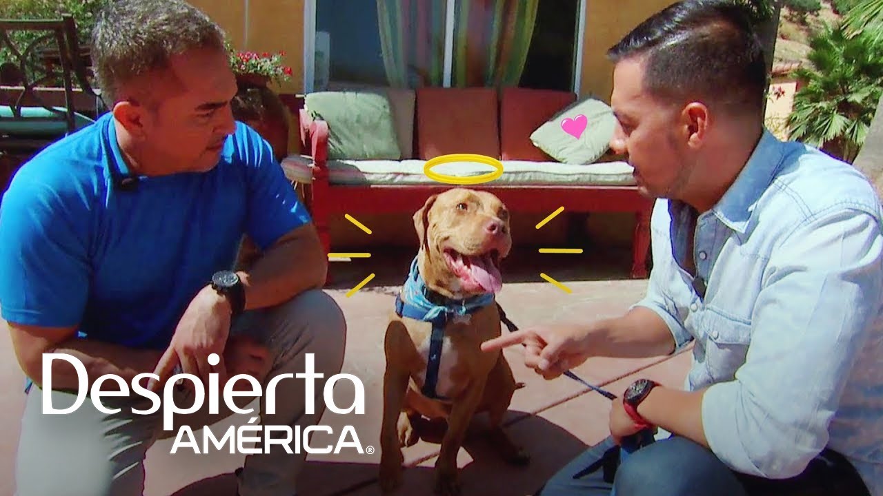 Luis Sandoval entrenó a su perro con el mismísimo César Millán