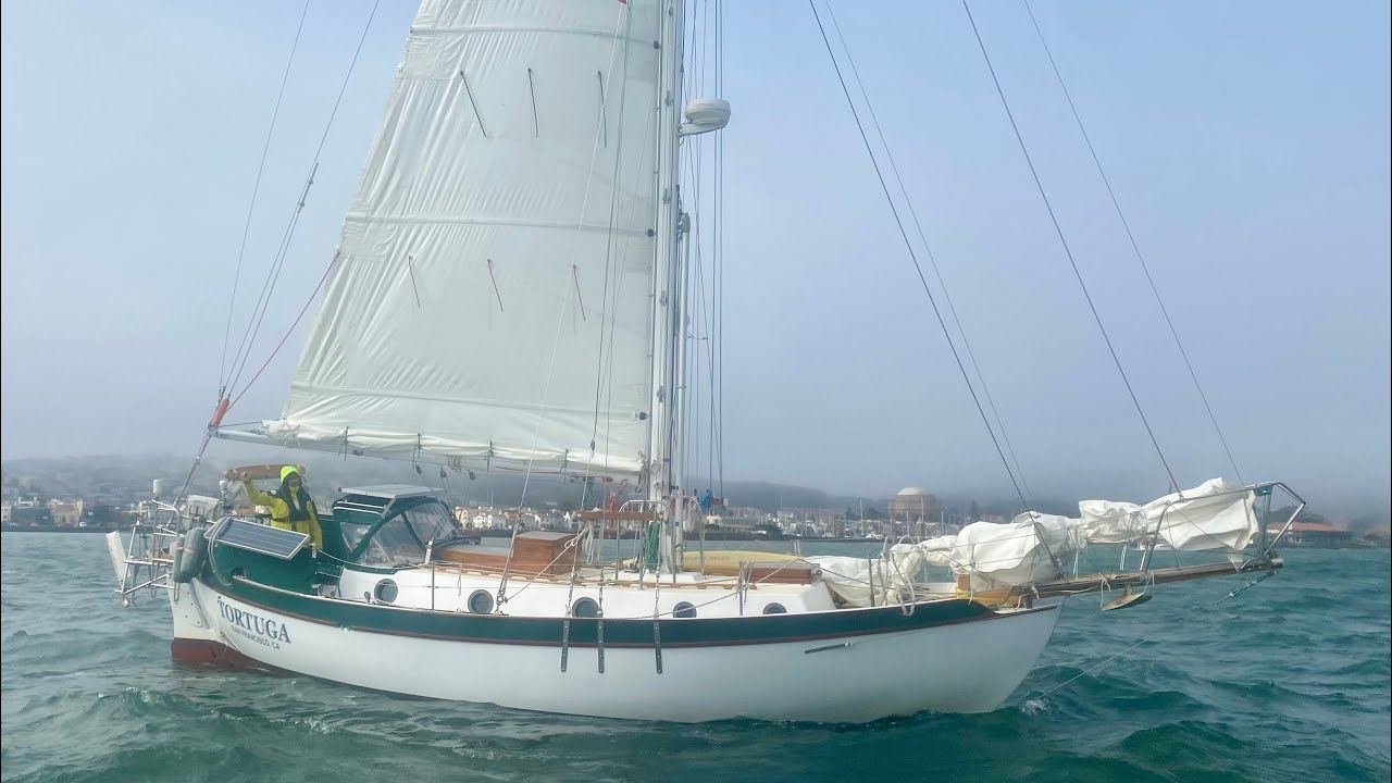 Westsail 32 Tortuga - 2025 Singlehanded Drakes Bay Race 