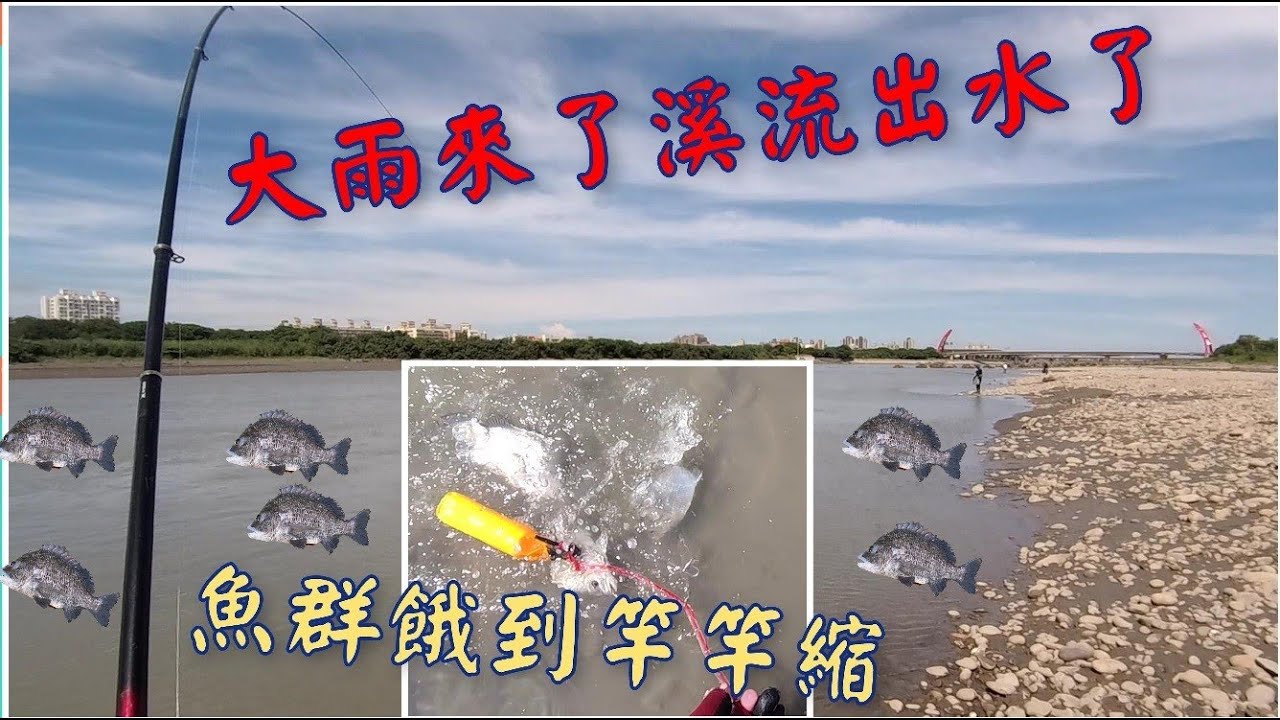 ☆磯釣☆ 熟悉的河口，熟悉的魚種，想不到咬口這樣好！ #李曉漁   #磯釣   #頭前溪