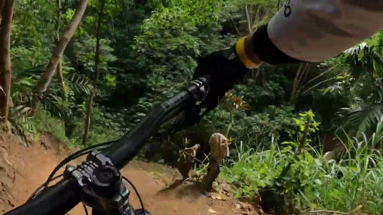 The View bike park (safe run lang)