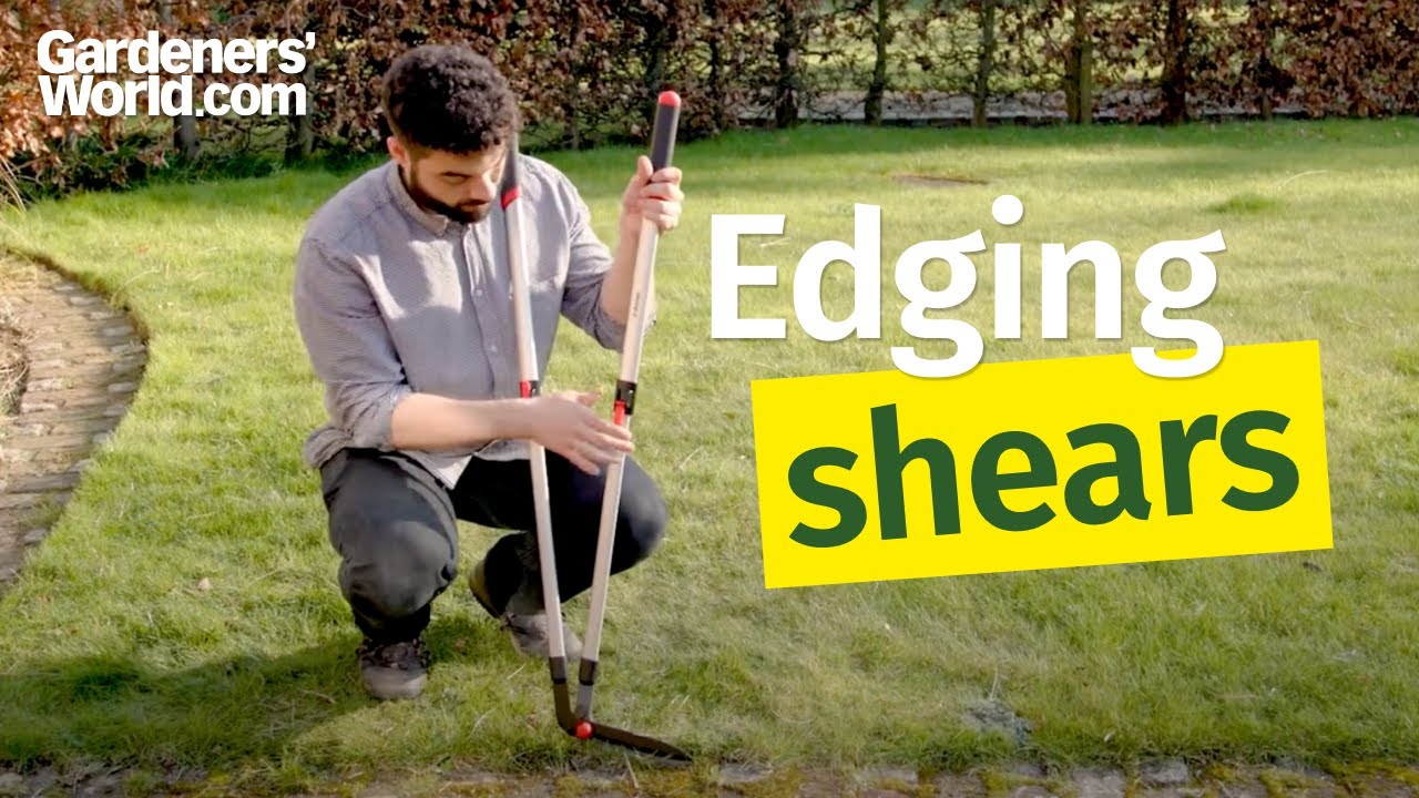 Edging shears - Buyer's Guide