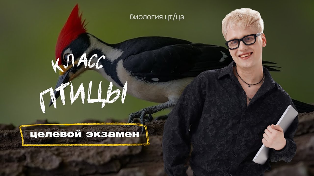 КЛАСС ПТИЦЫ | Целевой экзамен