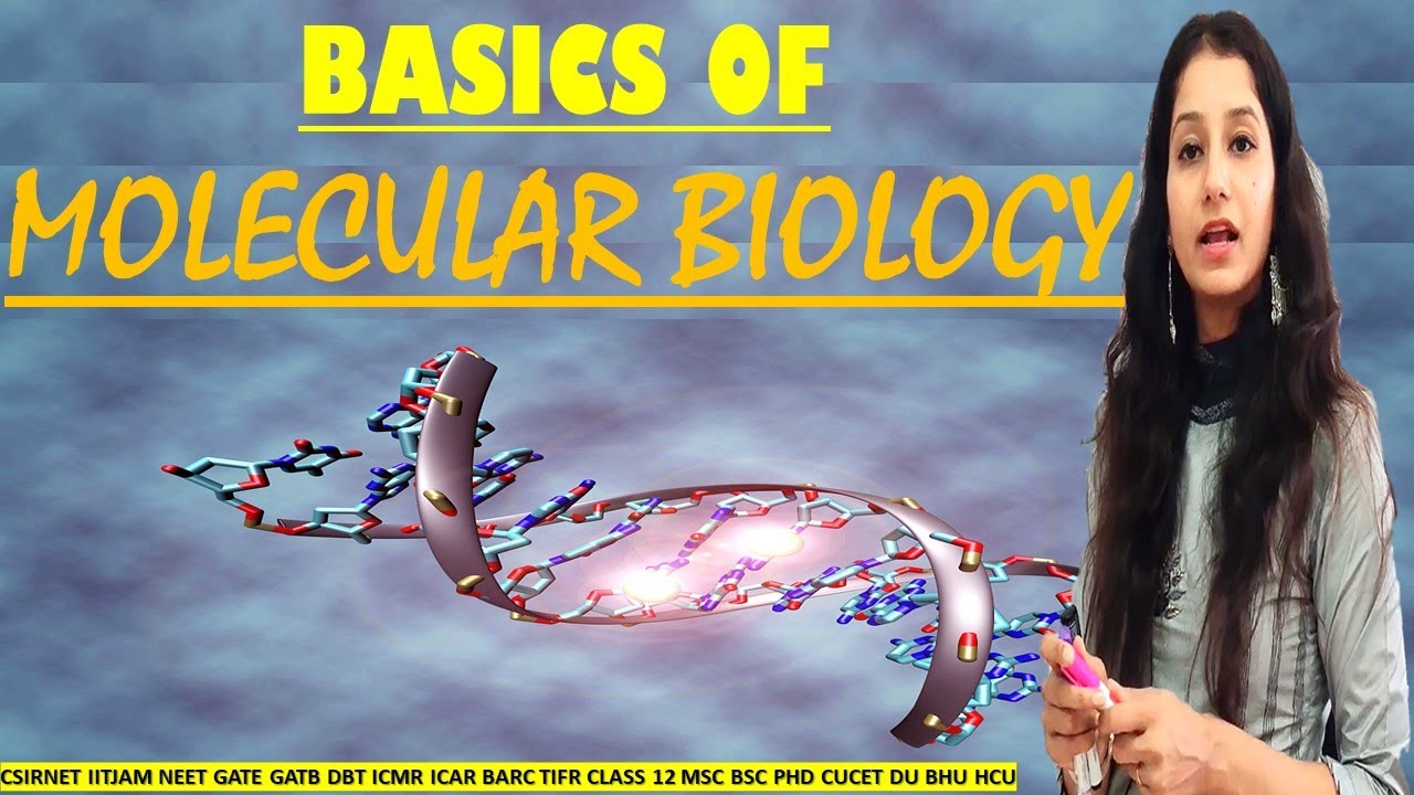Basics of Molecular Biology I CSIRNET I IITJAM I NEET I CLASS 12 I DBT I ICAR I ICMR I BSC I MSC I