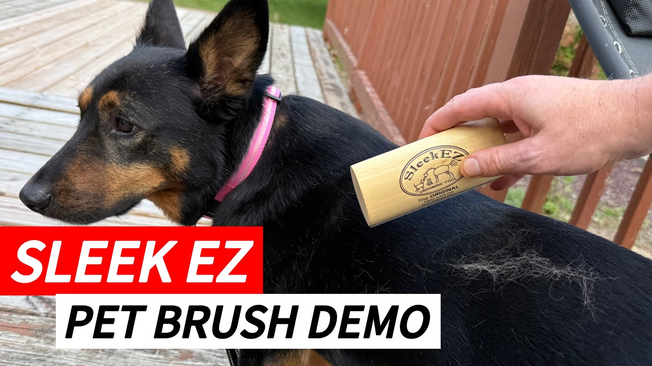 Sleek-EZ Dog Grooming Brush Demo & Review