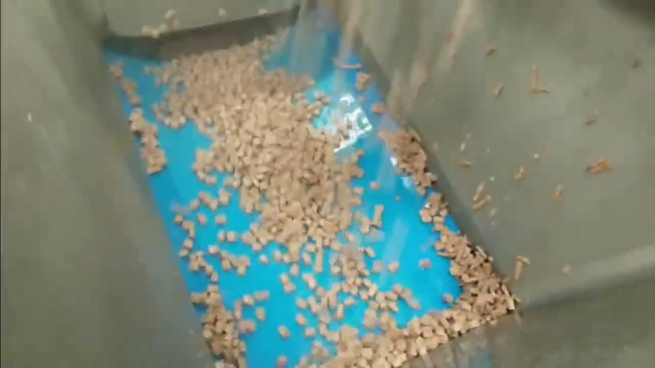 Liftvrac Flightless Conveyor in Action: Efficient Pet Food Handling