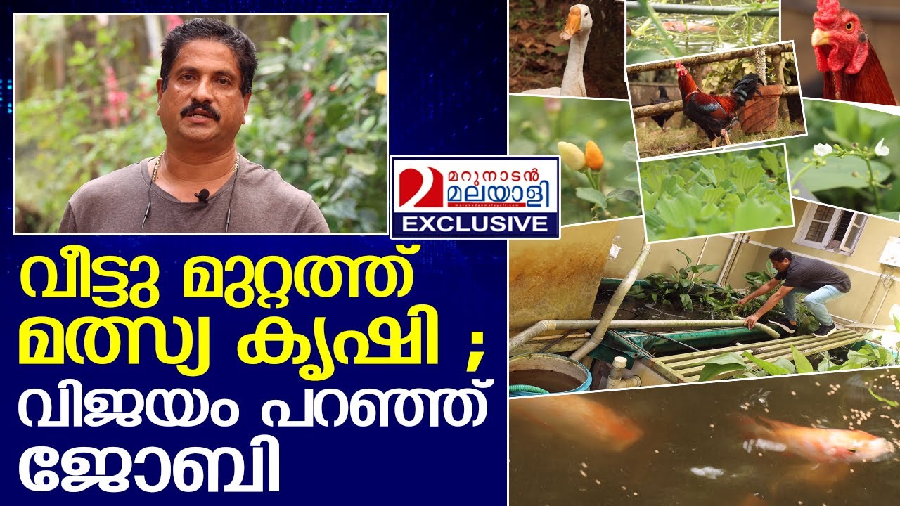 മത്സ്യം വളർത്തി പണമുണ്ടാക്കാനുള്ള എളുപ്പഴി I Fish Farms