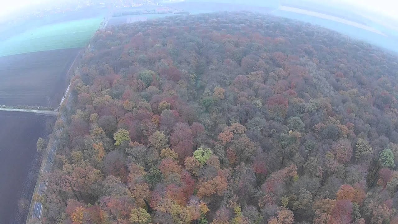 Borsum von oben - Sportplatz im herbstlichen Wald
