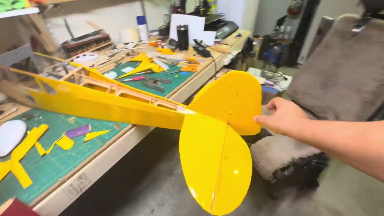 Goldberg Cub 