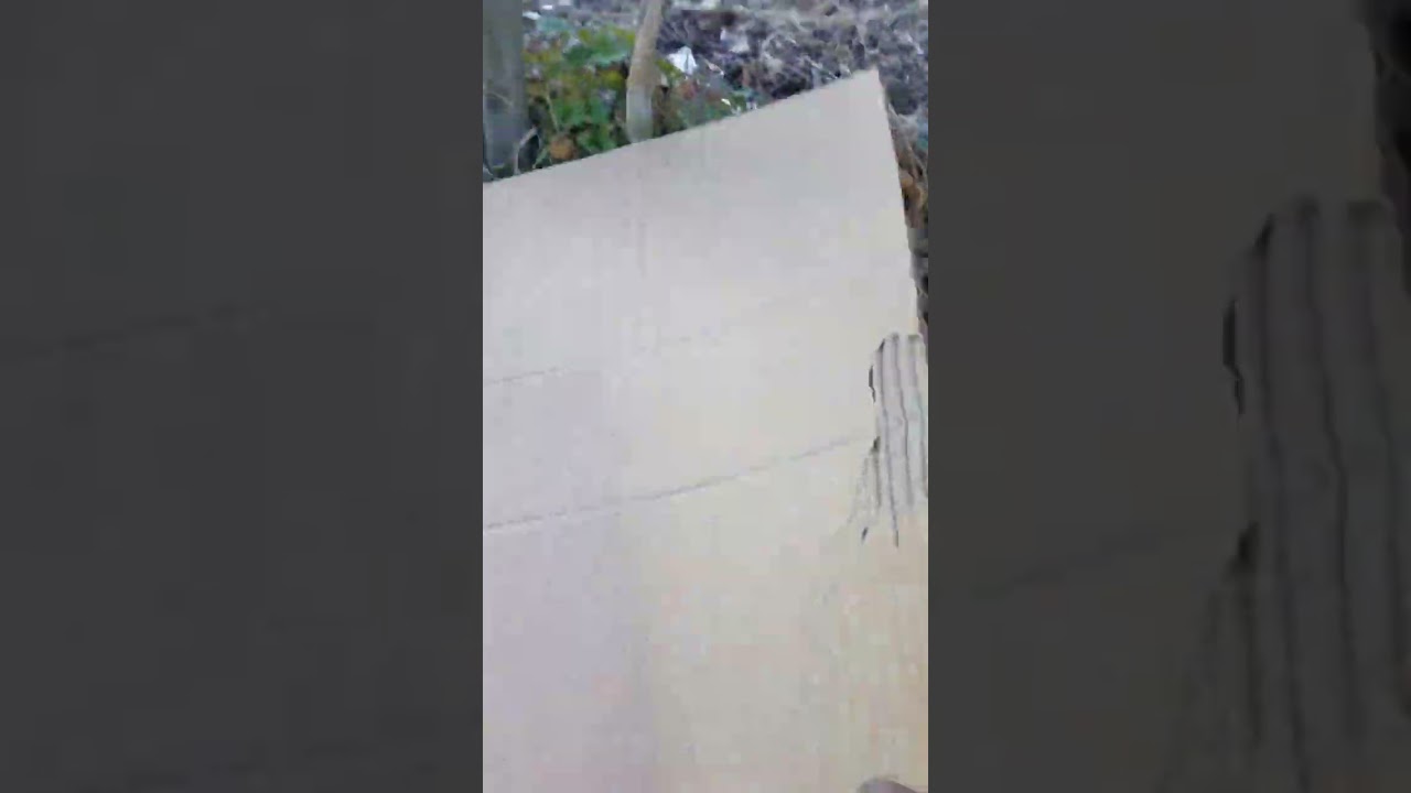 The Power of Deep Mulch!