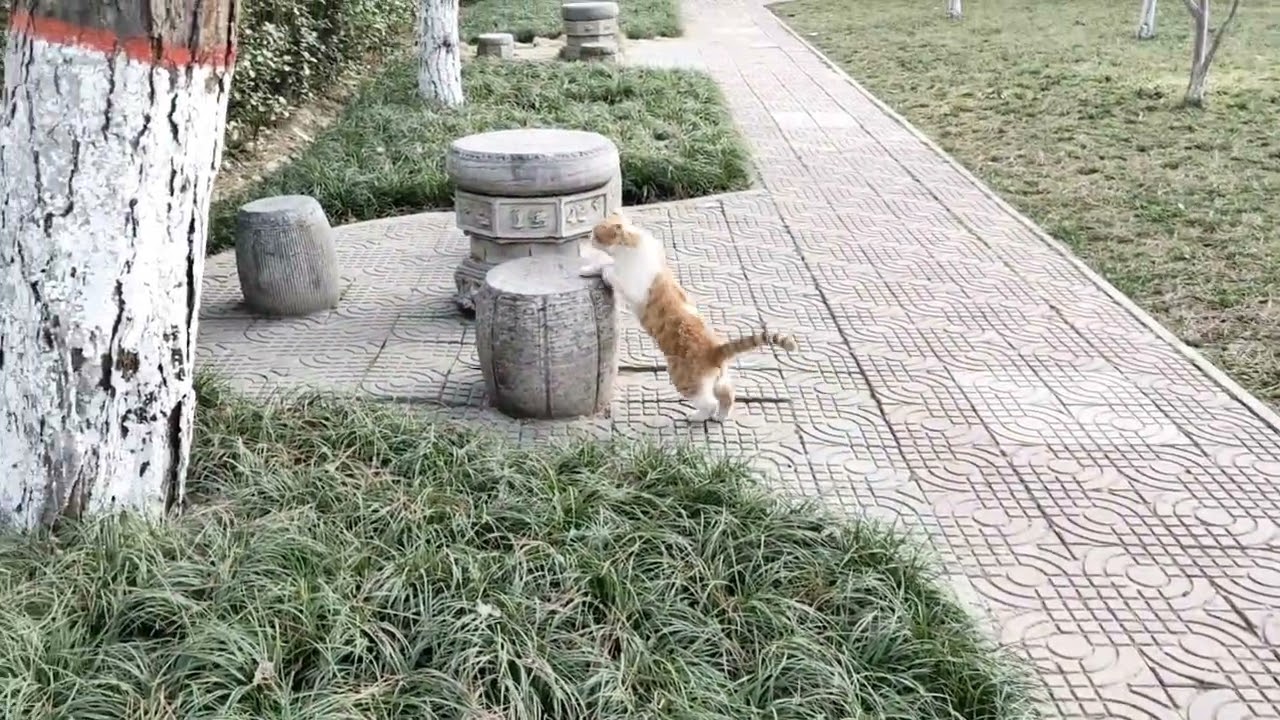 陕西师范大学一日游