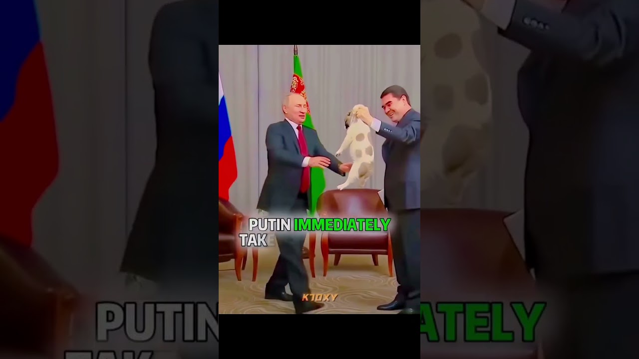 viladmir putin innocent people 😘 #motivation #shorts #russia#russianpresidentputin #upsc #love &hearts;️&hearts;️