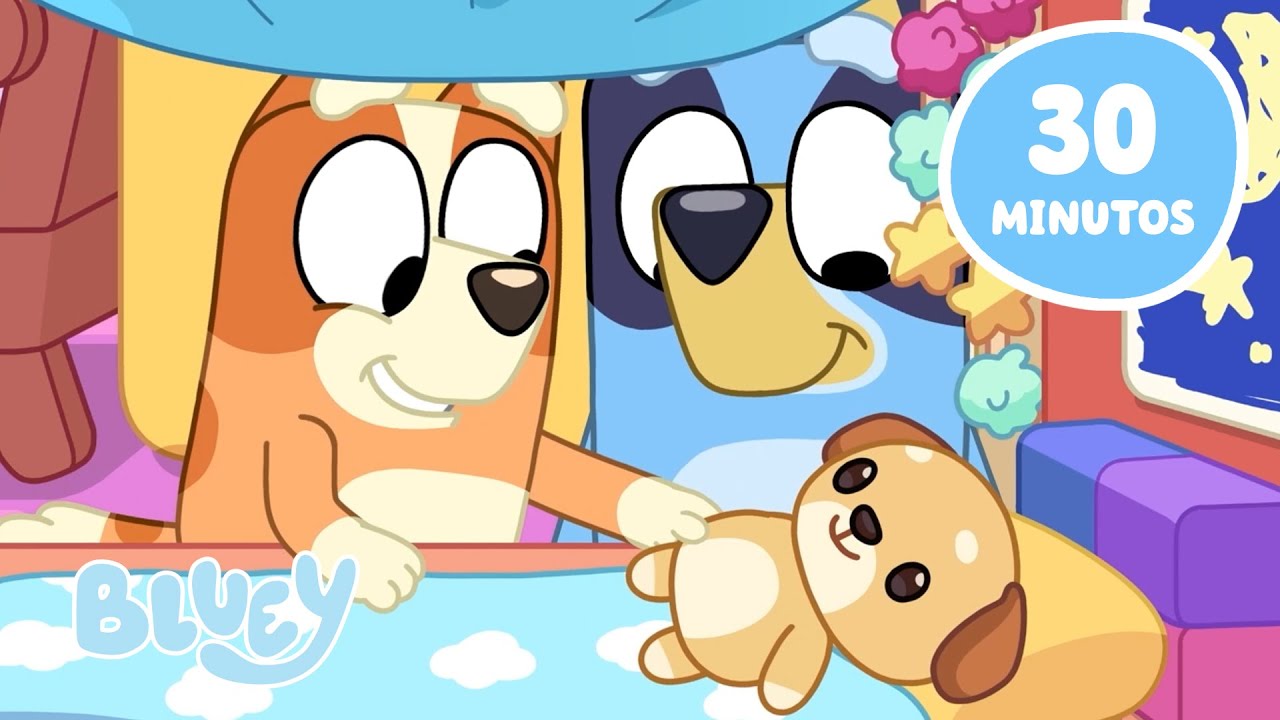 Hora da Comemora&ccedil;&atilde;o com Bluey 🥳 | Brinquedos e Amigos 🧸 | Bluey Portugu&ecirc;s Brasil Canal Oficial