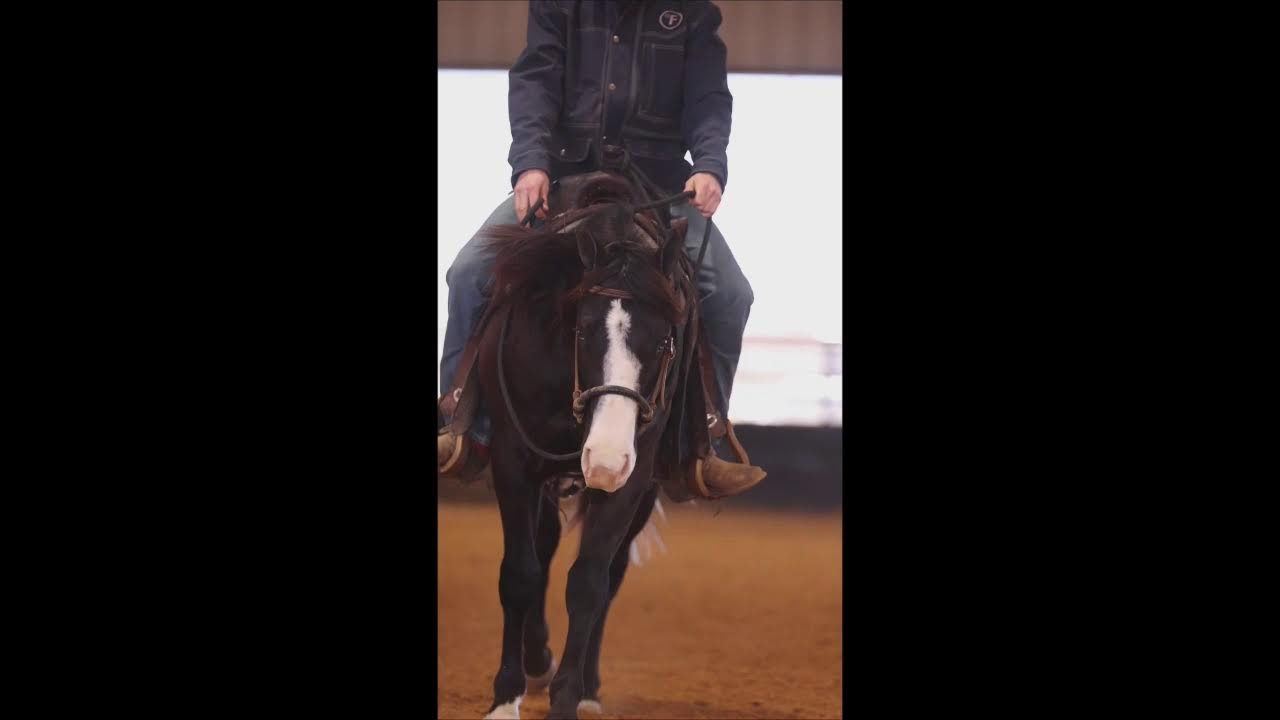 2026 Florida Reining Classic Indoor Arena Monday February 16
