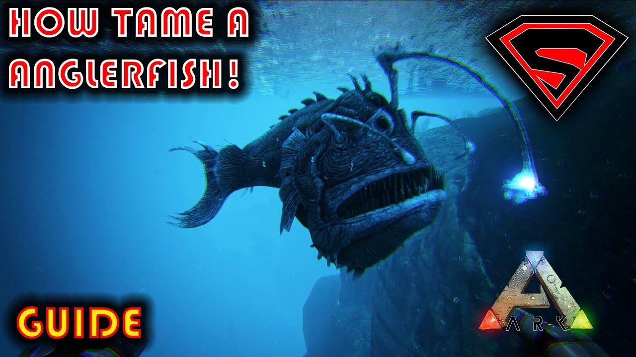 ARK HOW TO TAME A ANGLERFISH 2020 - EVERYTHING YOU NEED TO KNOW ABOUT TAMING A ANGLERFISH IN ARK
