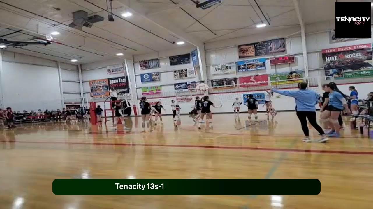 Tenacity 13s-1 (2026.02.01)
