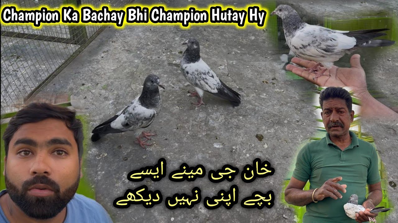 Shalamar Wala Ka Bachay Sab Pey Bhari Hy 😅