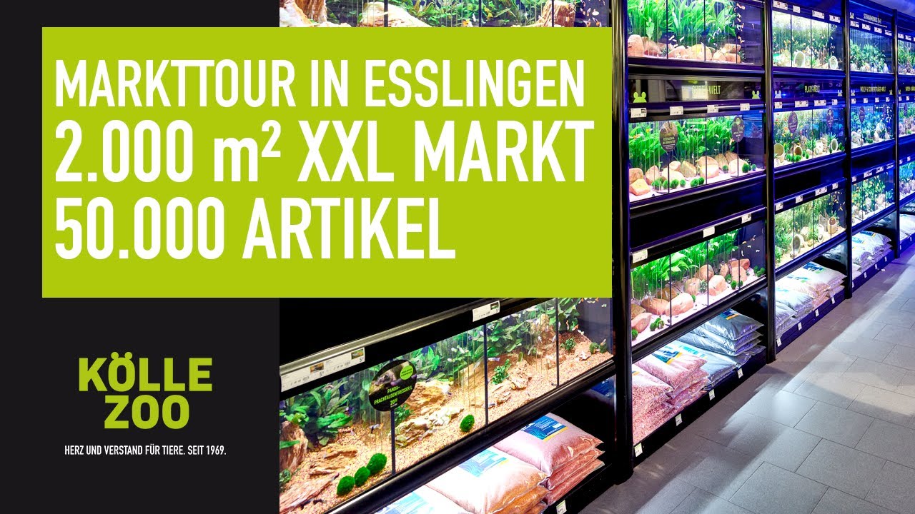 Zu Besuch im Kölle Zoo Esslingen | 2.000 m² XXL Markttour | KÖLLE ZOO