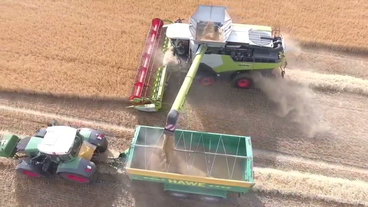 Claas lexion cutting in ballymurn wexford 13th july 2022 #farming #combine #wexford