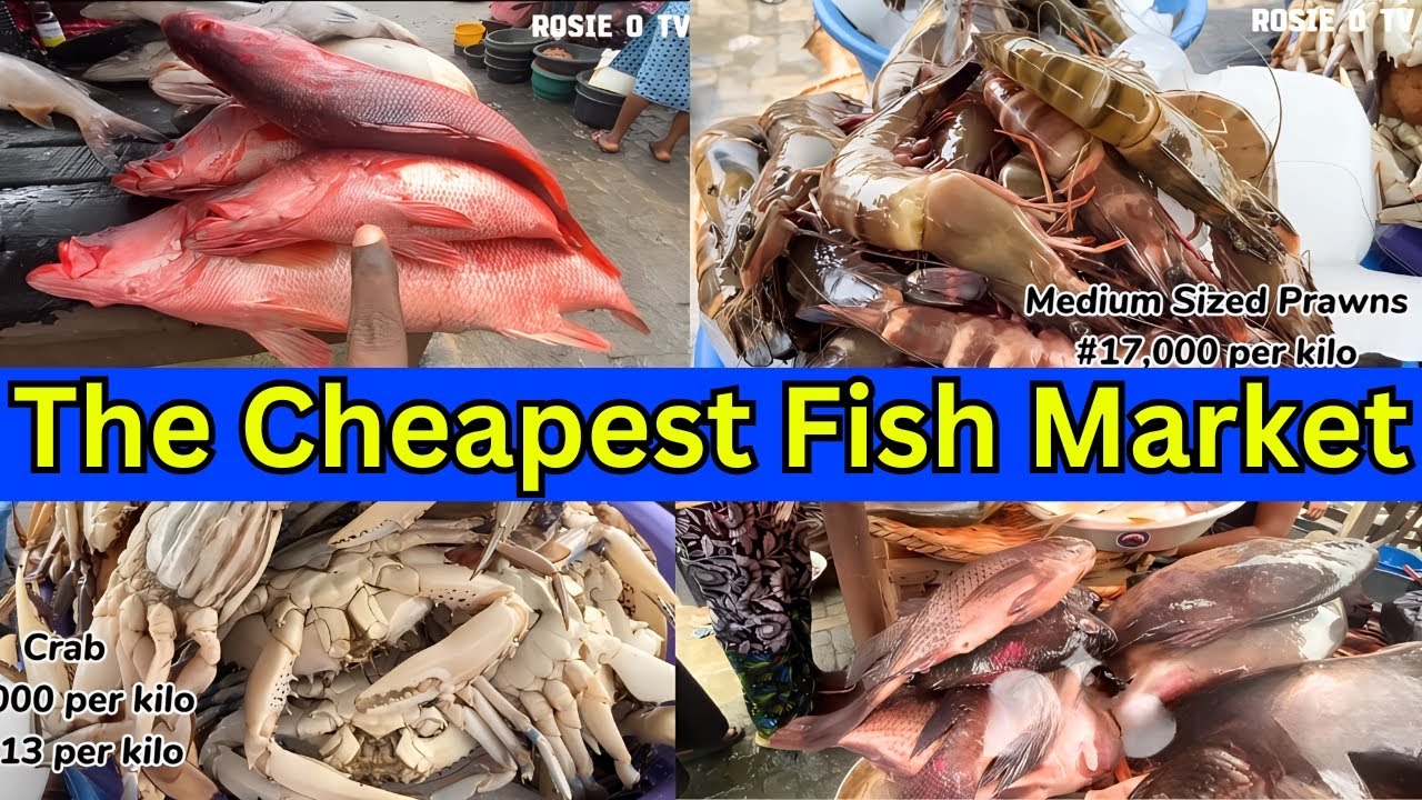 Exploring one of the Cheapest and Biggest Fish Market in Nigeria