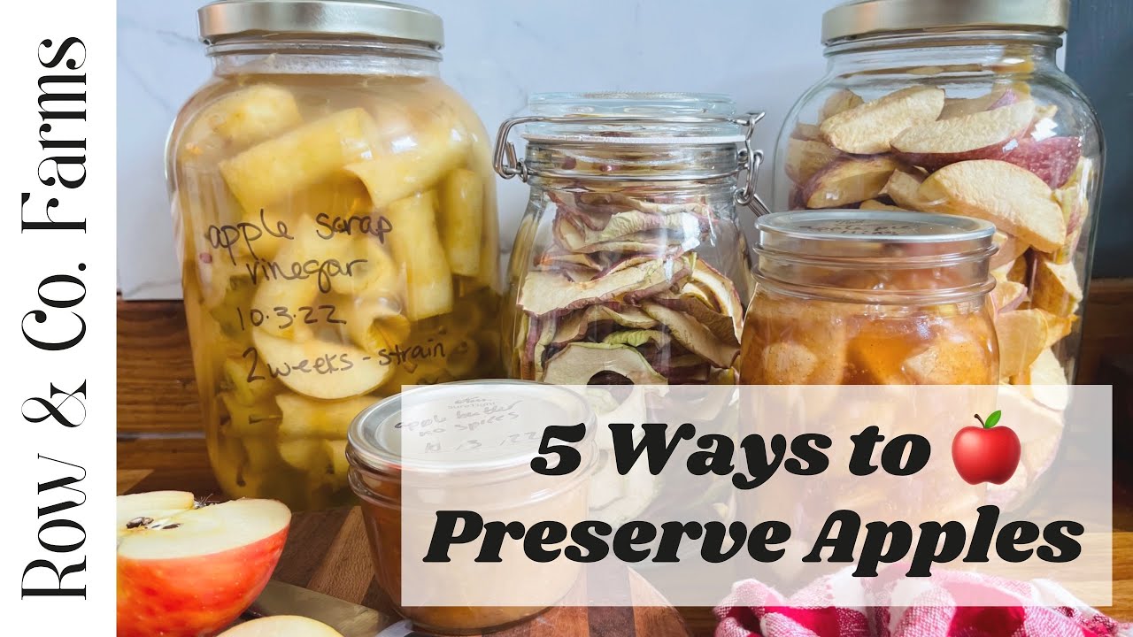 5 Ways to Preserve Apples 🍎
