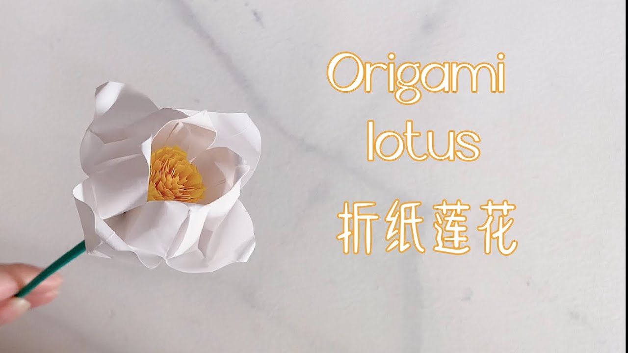 188. Origami lotus折纸莲花