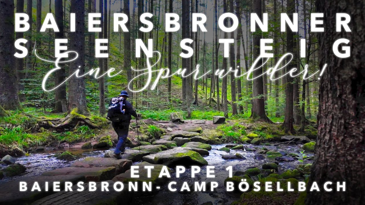 Baiersbronner Seensteig | Eine Spur wilder | Etappe 1/5 | Baiersbronn - Camp Bösellbach