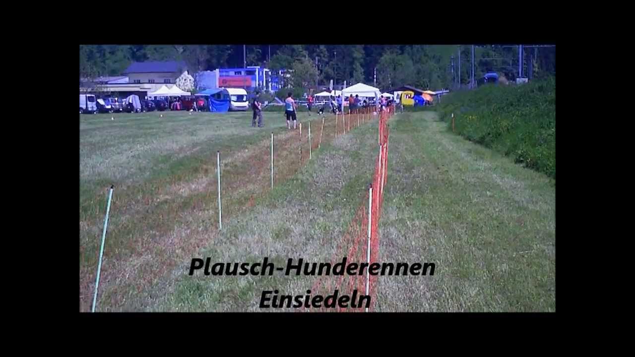 Horrorsturz von K&ouml;nigspudel Bambuli
