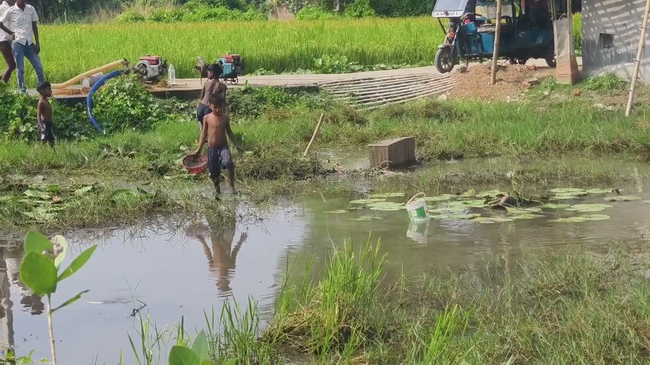 শিবমের মাছ ধরার ভিডিও 🙏🙏🙏