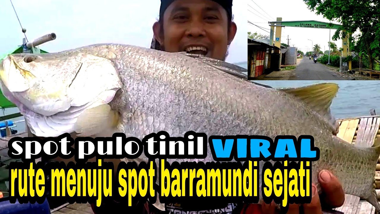 rute menuju spot barramundi//spot viral pulo tinil dan muara cagak