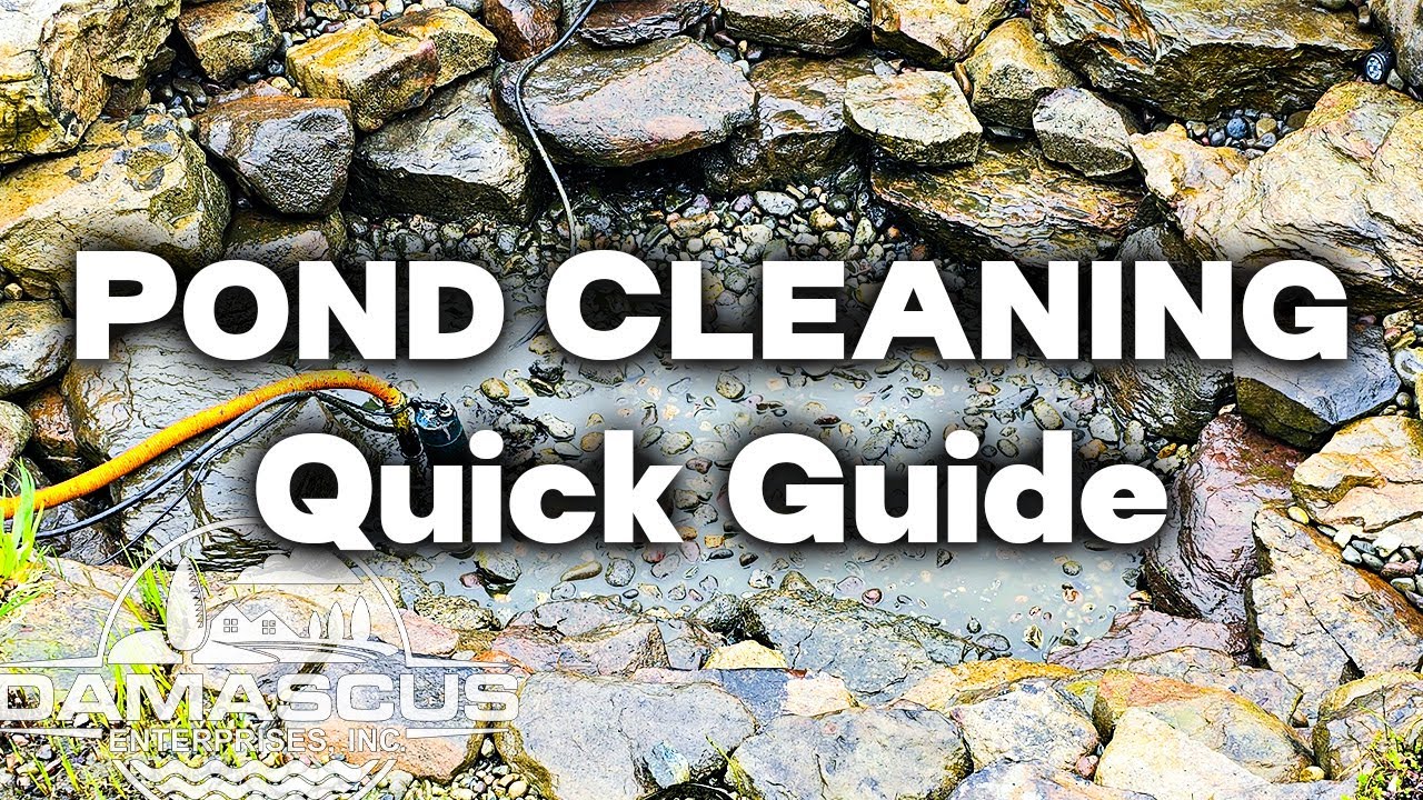 🌿 Ultimate Guide: How to Clean Out Your Koi Pond | Damascus Enterprises