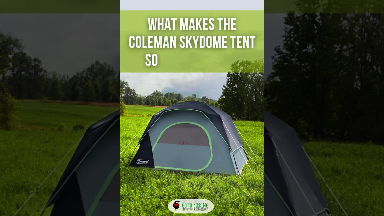 Coleman Skydome Tent Review: Spacious, Quick Setup Shelter for Nature Lovers