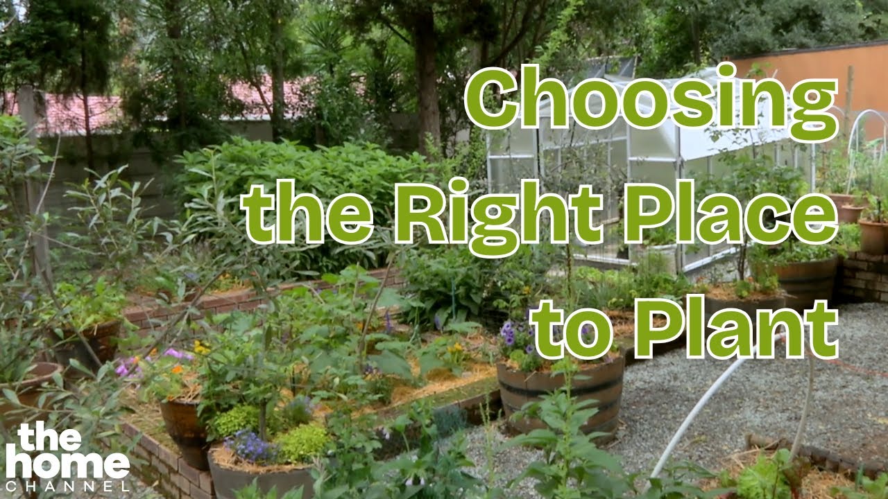 Choosing the Right Place to Plant: Raised Beds, Pots & More