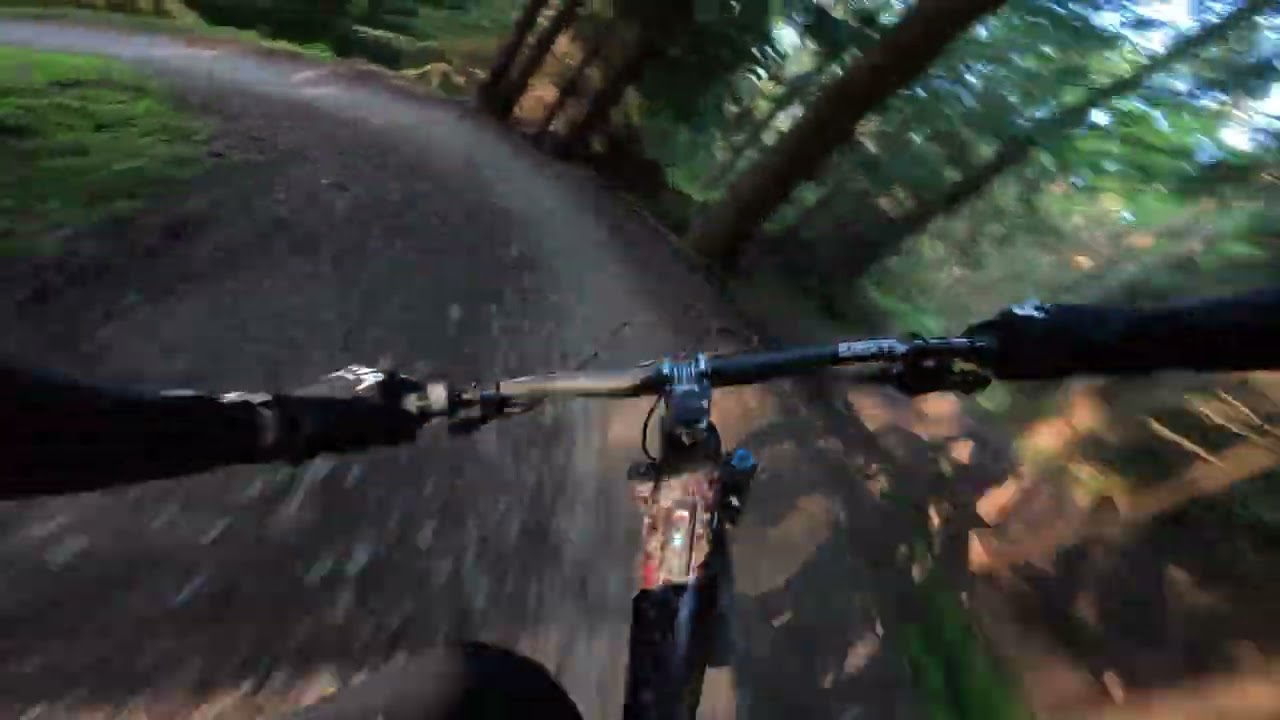 Evening Laps at Hamsterley Forest