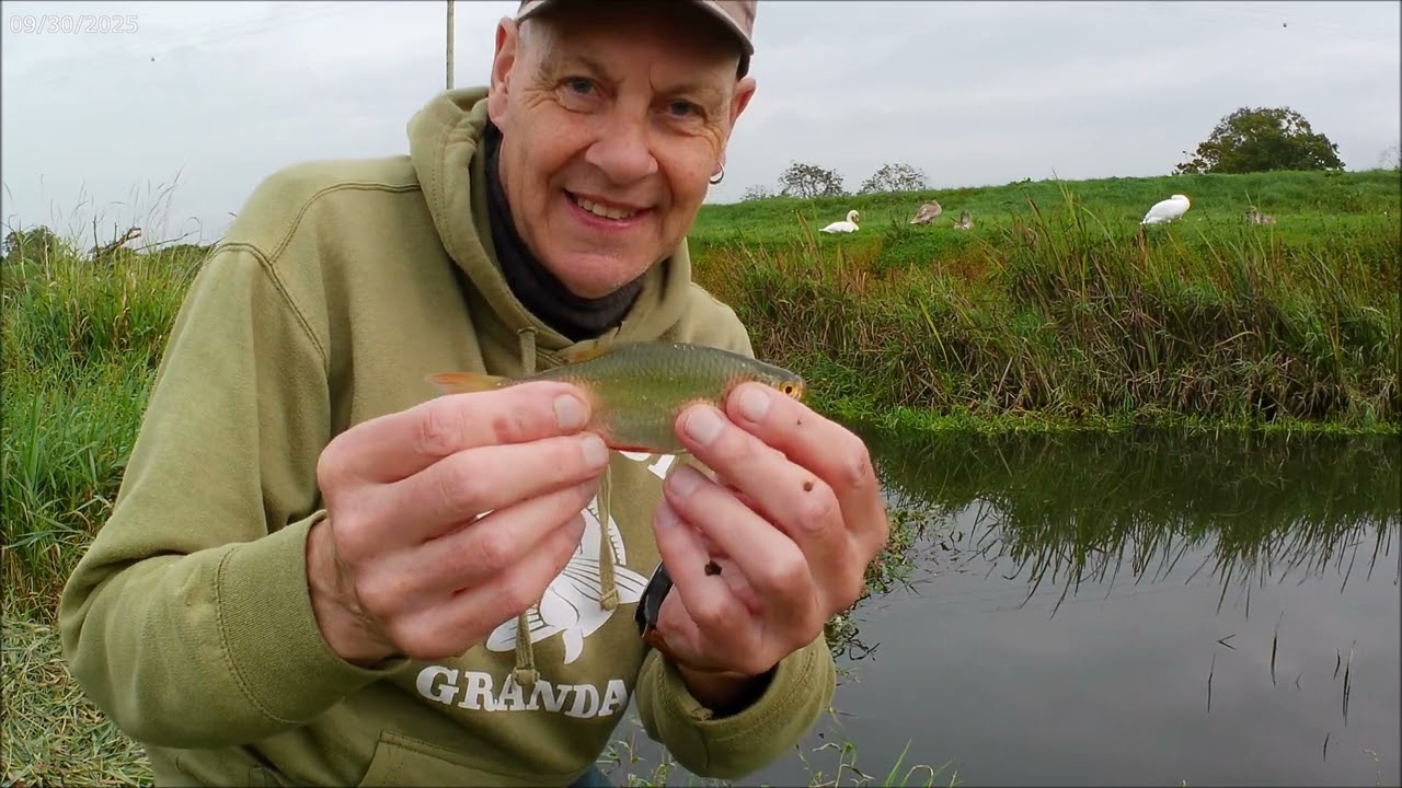 River Adur Betley Wednesday 1st October 2025