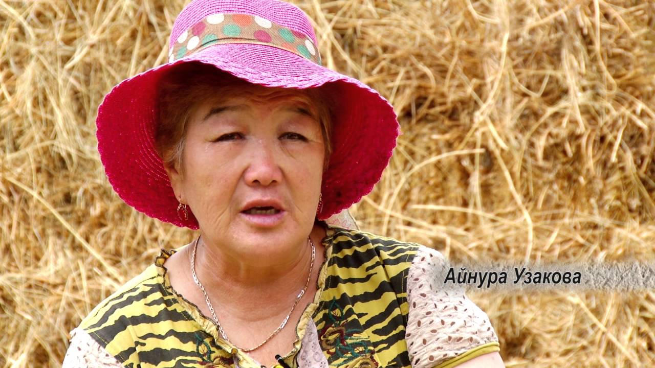 Кыштакча