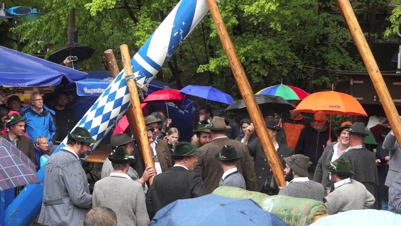 Maibaum Augustiner-Keller 2015 wurde am 01.05.2015 aufgestellt