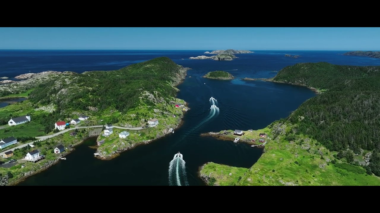 Dive into the Magic of the 2024 Herring Neck Dory Festival ✨🚤