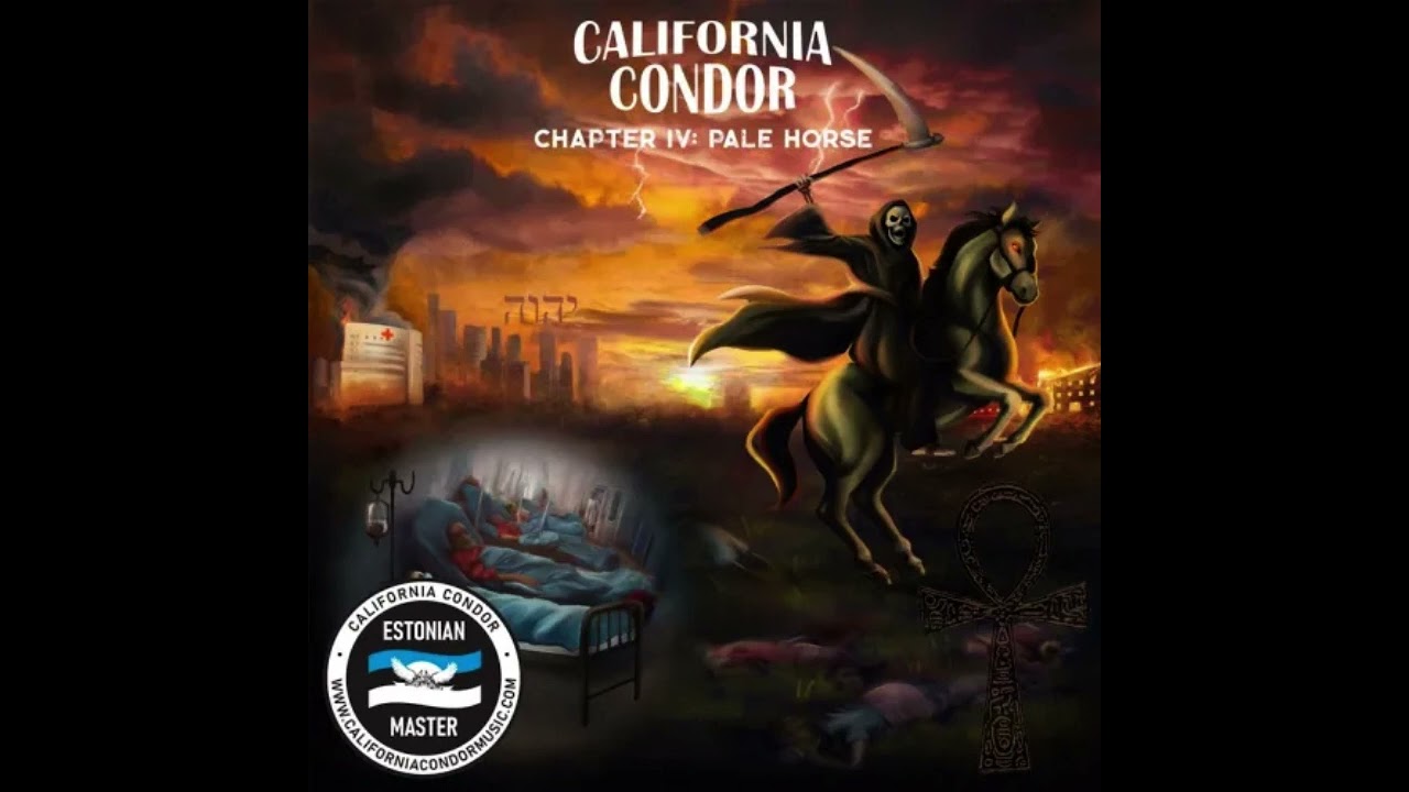 California Condor - Bank Robbers and Bull