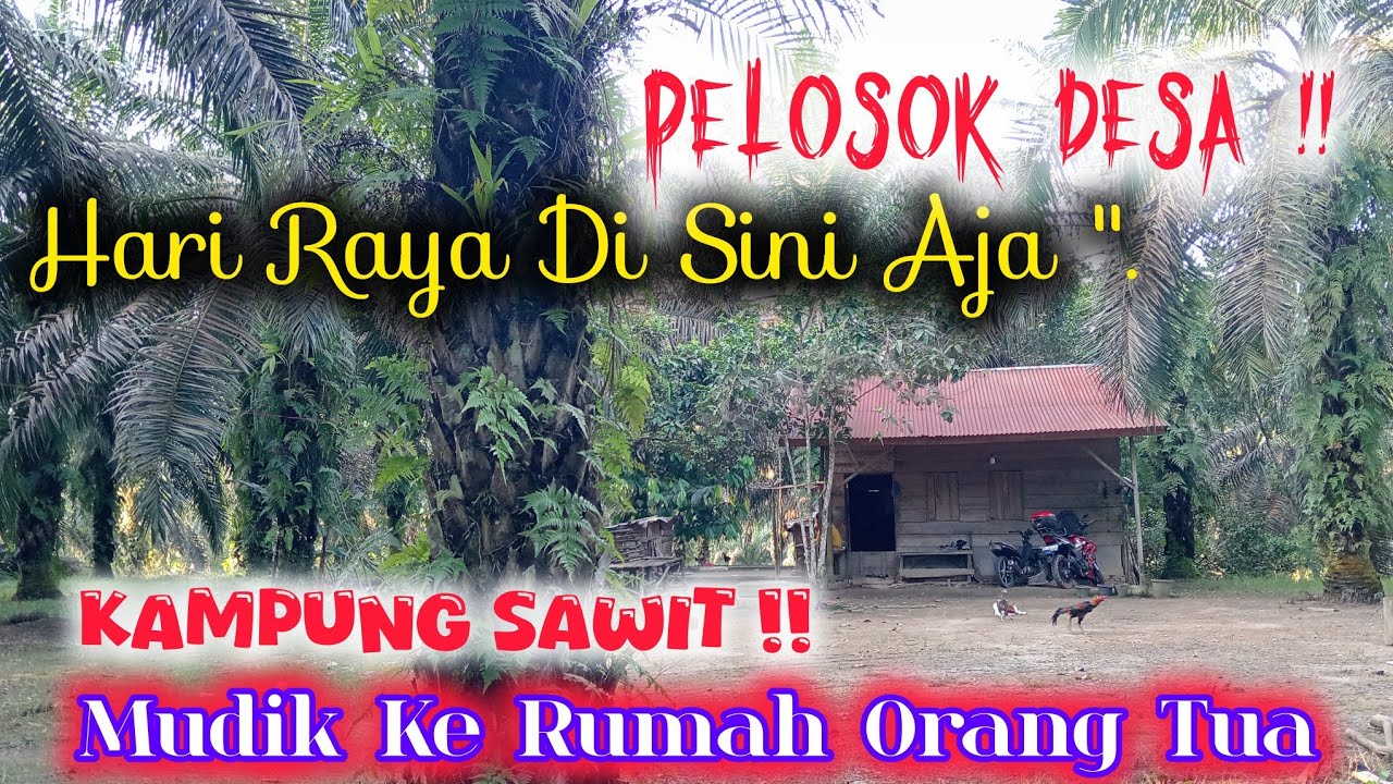 💫 MUDIK LEBARAN !! SUASANA KAMPUNG DI DALAM KEBUN SAWIT DI RUMAH ORTU !