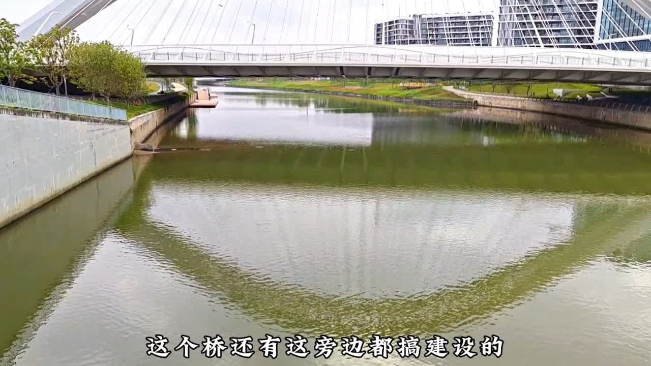 这座桥在福永，建设非常美观，政府真强大，闲时可来玩一下