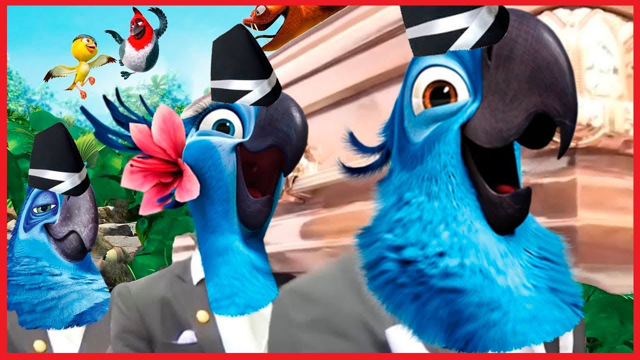 RIO - Coffin Dance Song COVER