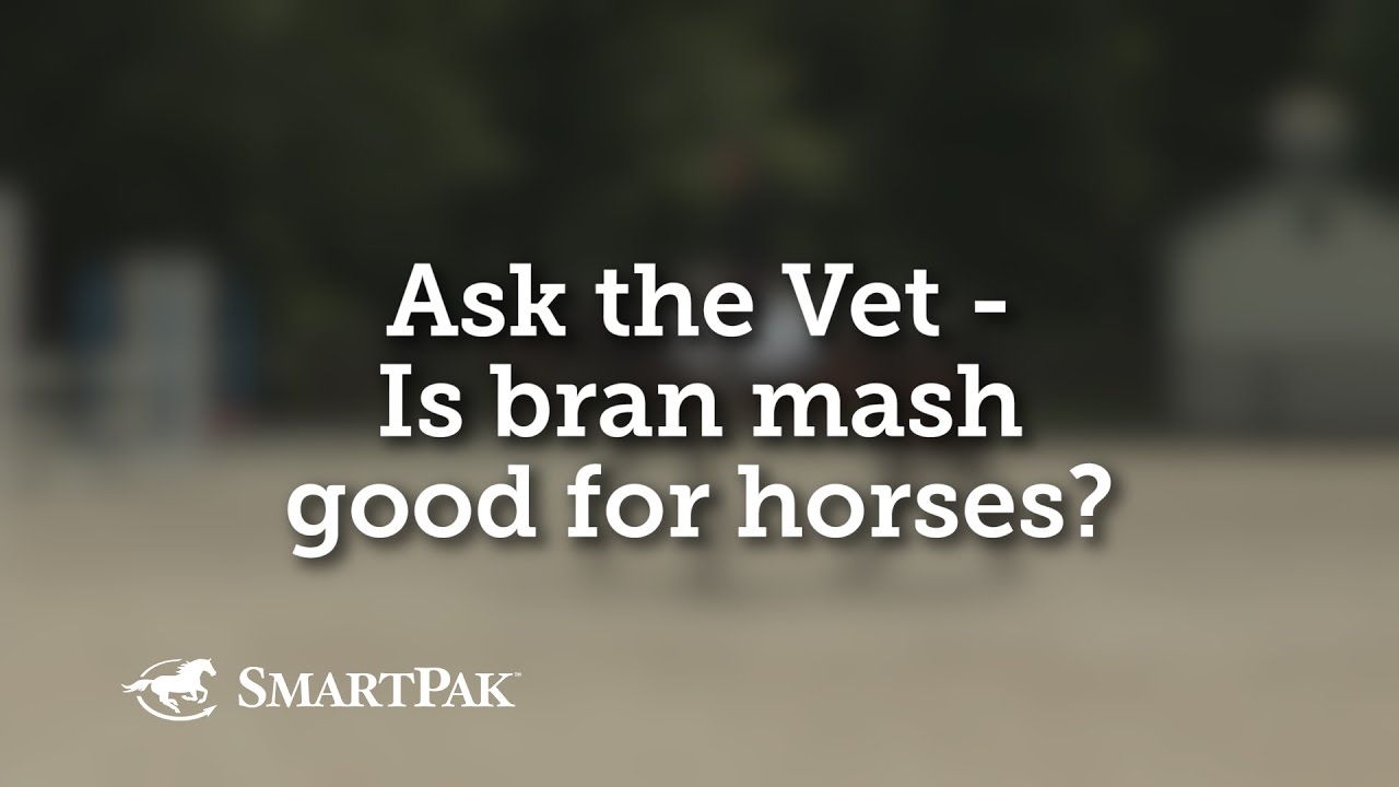 Ask the Vet - Is bran mash good for horses?