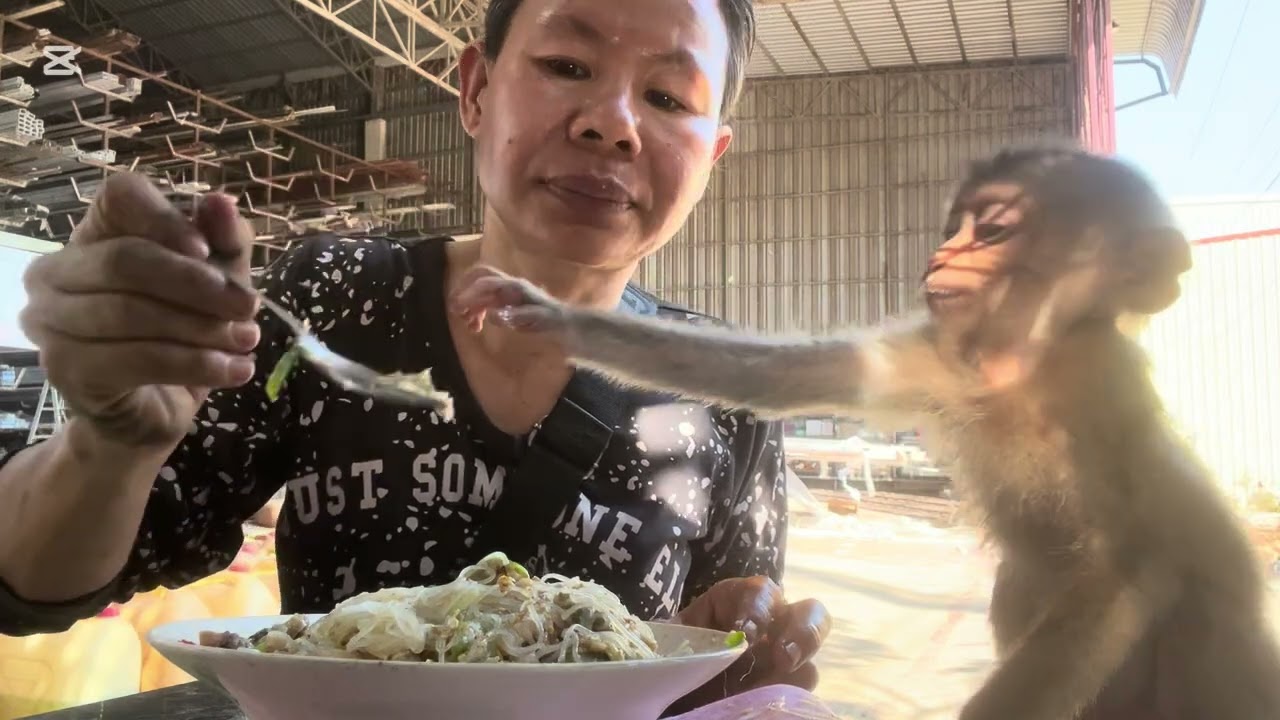 Mary eats tang hun with Mommy #animals #mary #monkey #asmr