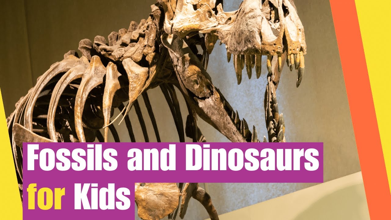 Fossils and Dinosaurs for Kids | How Dinosaur Fossils are Formed | Lesson Boosters  Science Video