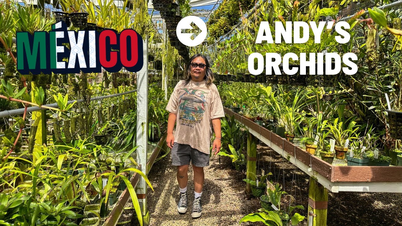 A Weekend in Tijuana and Plant Shopping in San Diego 