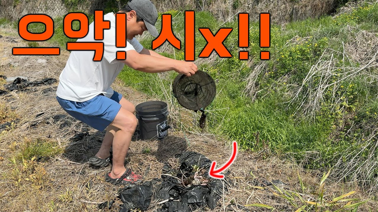 농수로 통발에 잡히지 말아야 할 놈이 들어갔다.. 통발 집어 던졌습니다ㅠㅠ